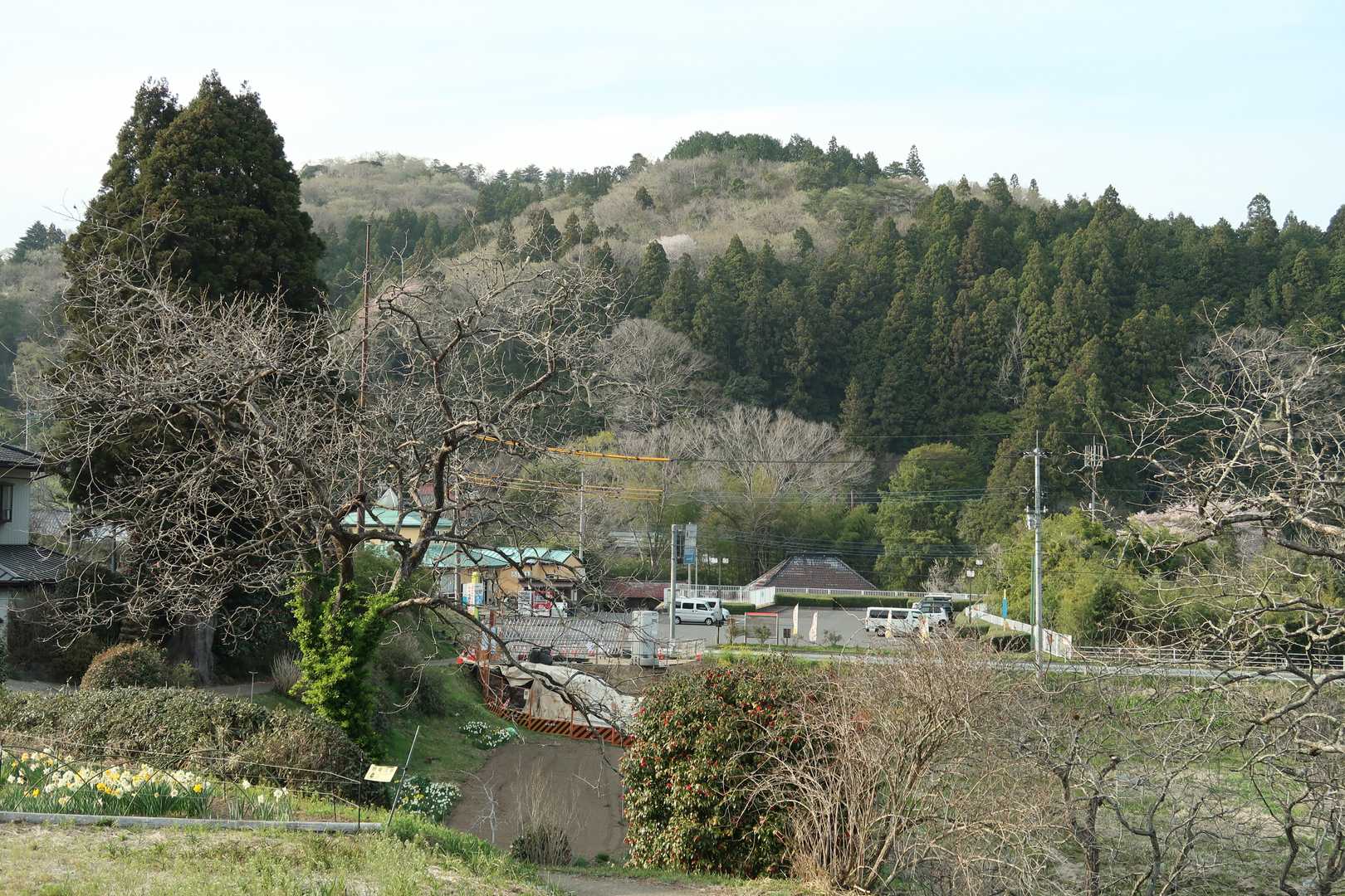 かざぐるまへ戻ってきました。それにしても日が長くなりました。