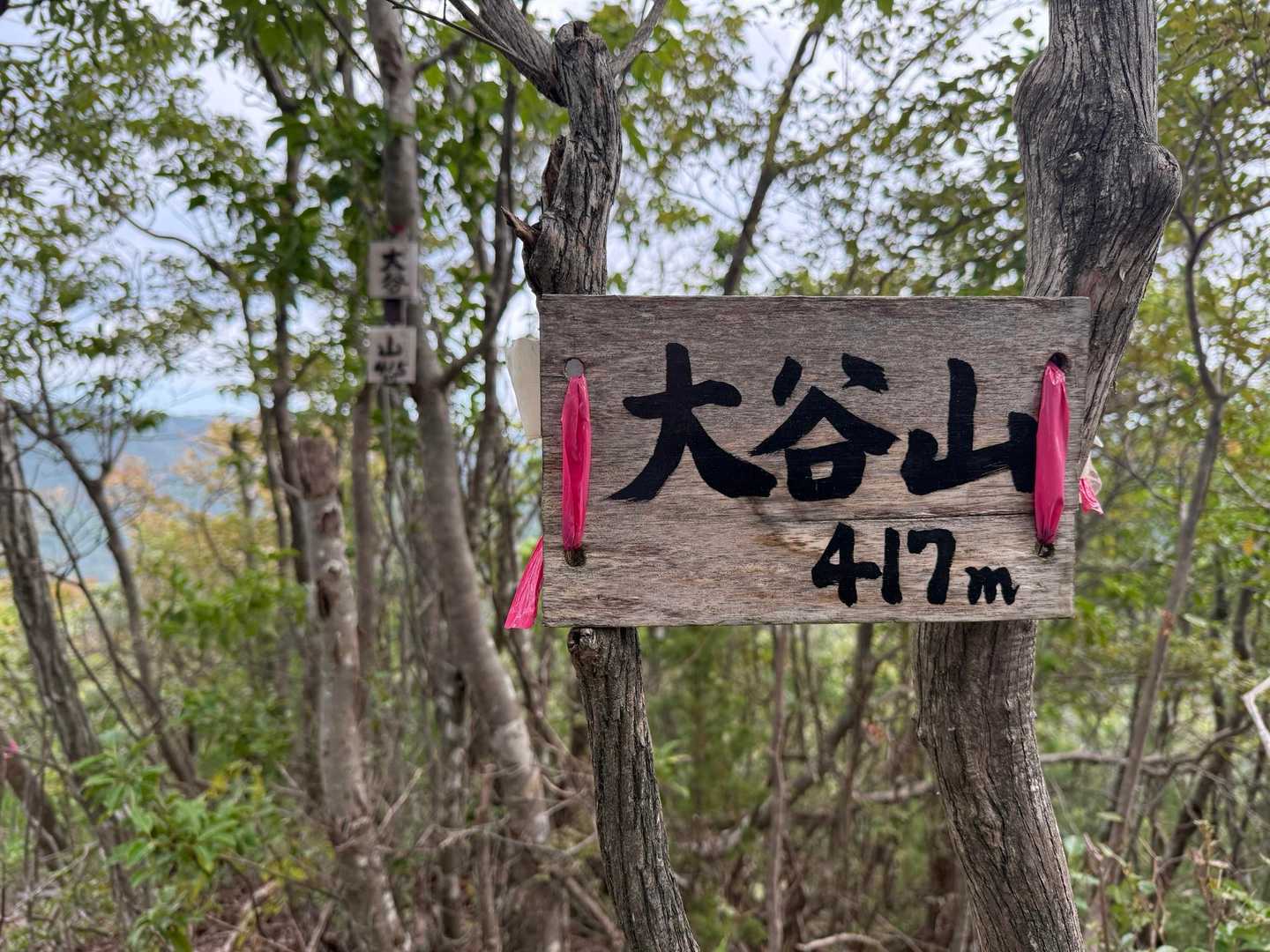 大谷山