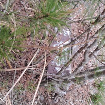 こんな看板も落ちてた