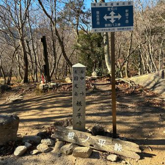 根の平峠に着いてようやくハイカーと出会ってちょっと嬉しかったです🤗