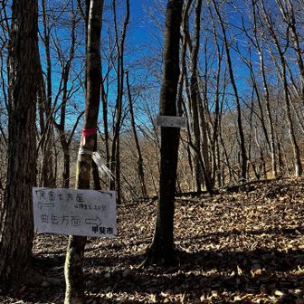 分岐点　八丁峰へ