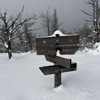 皆子山登山口からの登山道との合流点