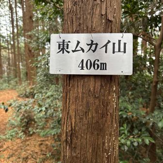次は、東ムカイ山。東ムカイ山を過ぎて少し下ると林道が並行するようになり、その林道に合流したところが北向き地蔵でした。安全のお礼を申しあげました。横手では男性が草刈りをしていました。