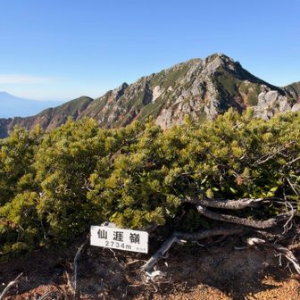 仙涯嶺、やりました🙌

登りたい山登ってたら増えてきた百高山57座目
中アで残すは三ノ沢岳
ロープウェイで登るんは意味ないからルート考えなくては