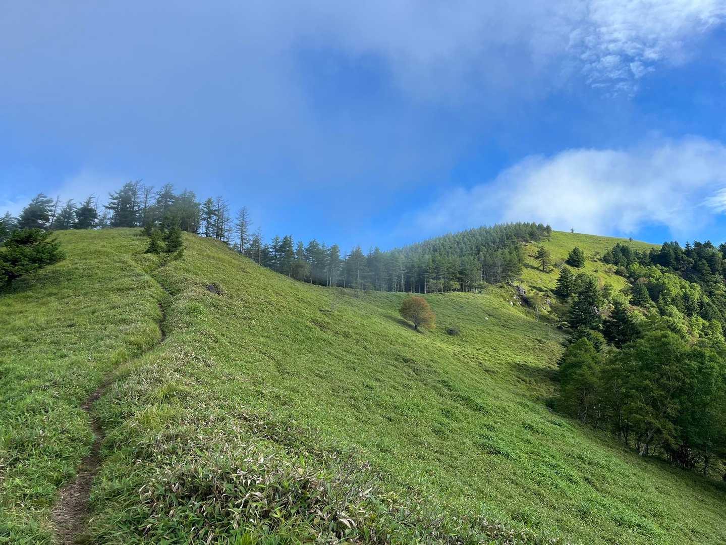 右奥が茶臼山山頂。