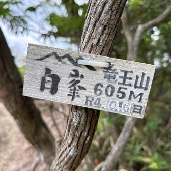 白峯？
違う方向に行った方がいたので行ってみると