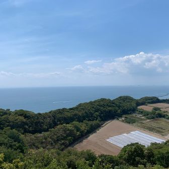 海はいいな😄
近くの海水浴場にはまだたくさんの人が泳いでいました🏊