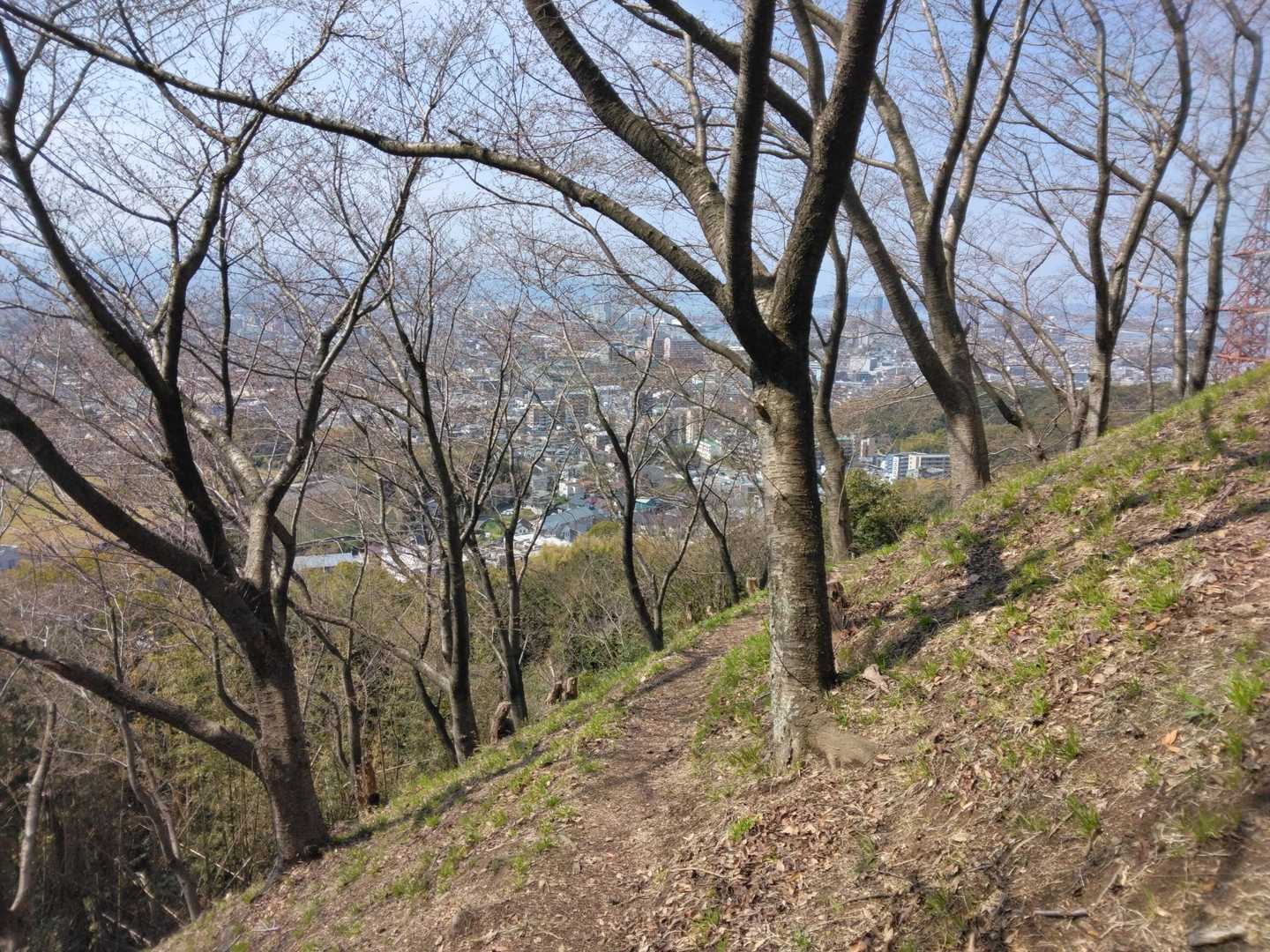 立花山-立花山登山道口・大権現登山道口 周回コースの写真