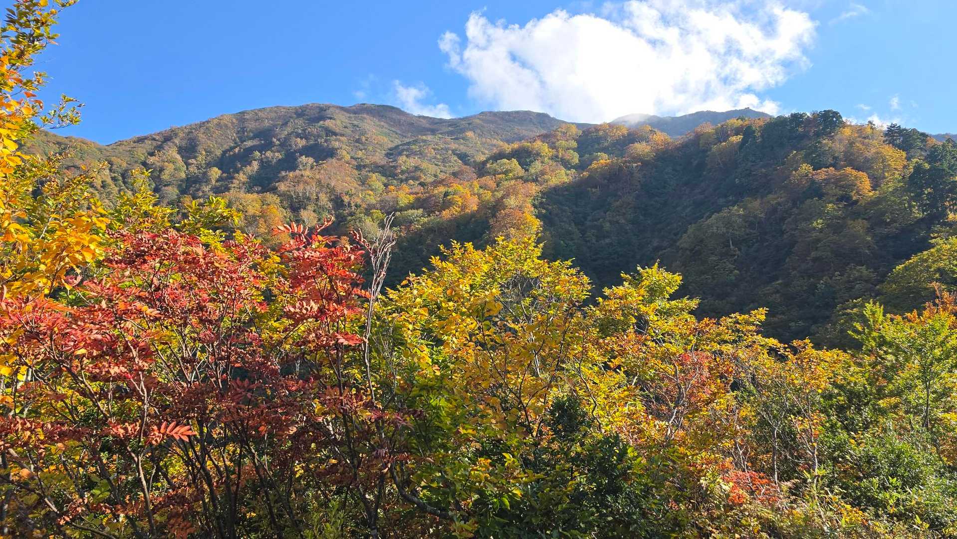 雨飾山登山口-雨飾山 往復コースの写真