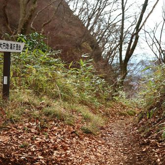 一般コ－スは直進