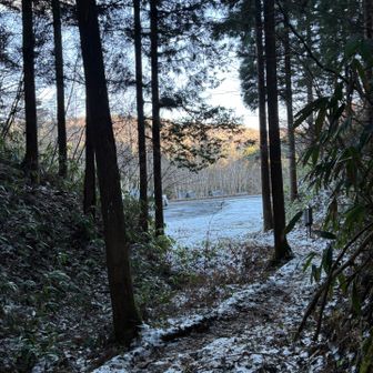 下りは写真撮らず一気に❗️
トイレ行きたかったのー🚻😆
駐車場には私達の車ともう一台だけでした🚙