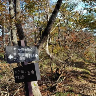 気持ちよく下山
バッテリーが10%なので、この後写真はなし
