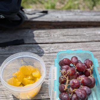 フルーツタイム🍊🍇
暑くなると
生のフルーツが細胞に
染み渡ります✨️