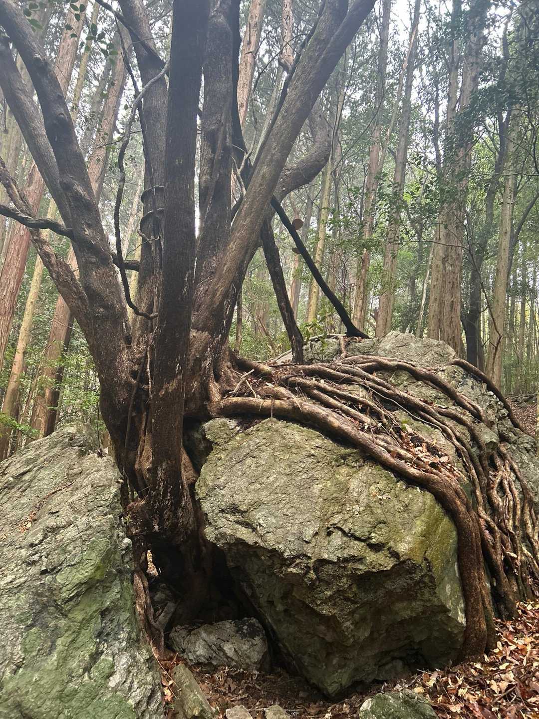 え⁉️