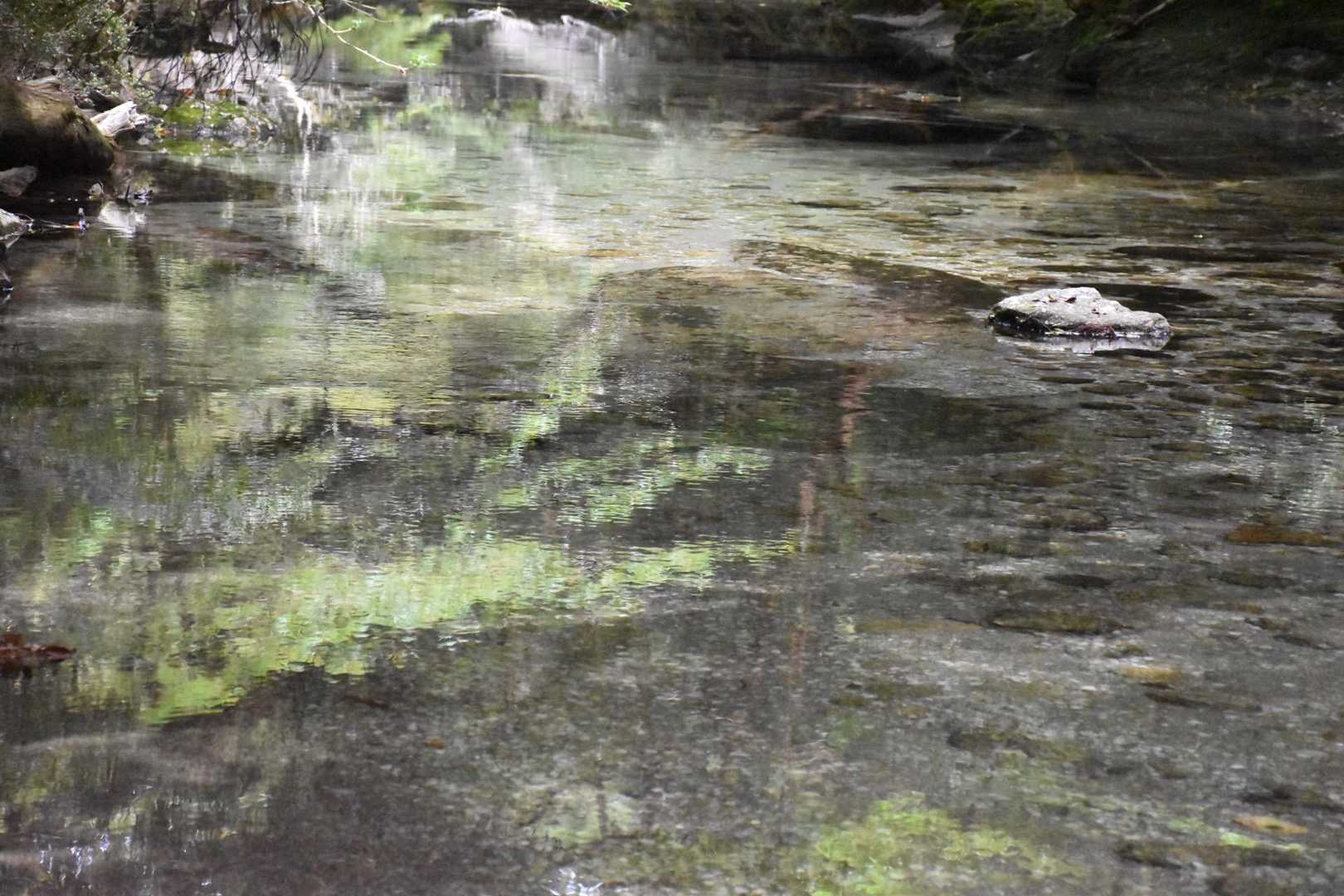 透き通った水