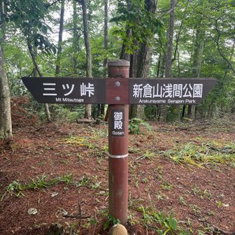 色んな人から祀られてそうな雰囲気