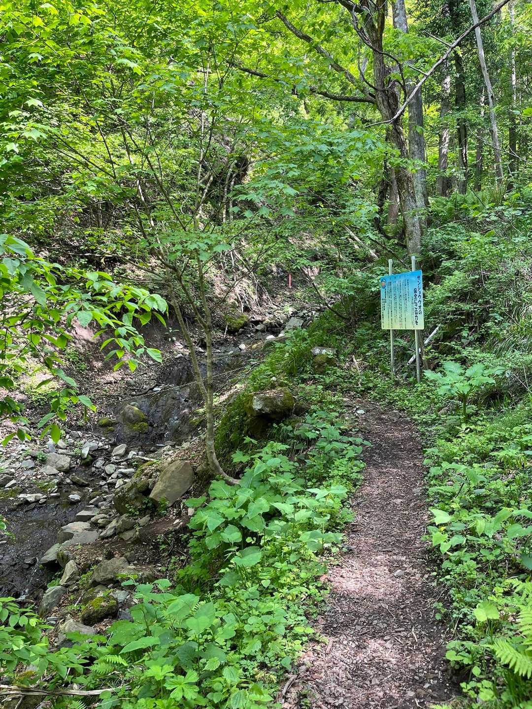 虫倉山登山道入口-虫倉山 往復コースの写真