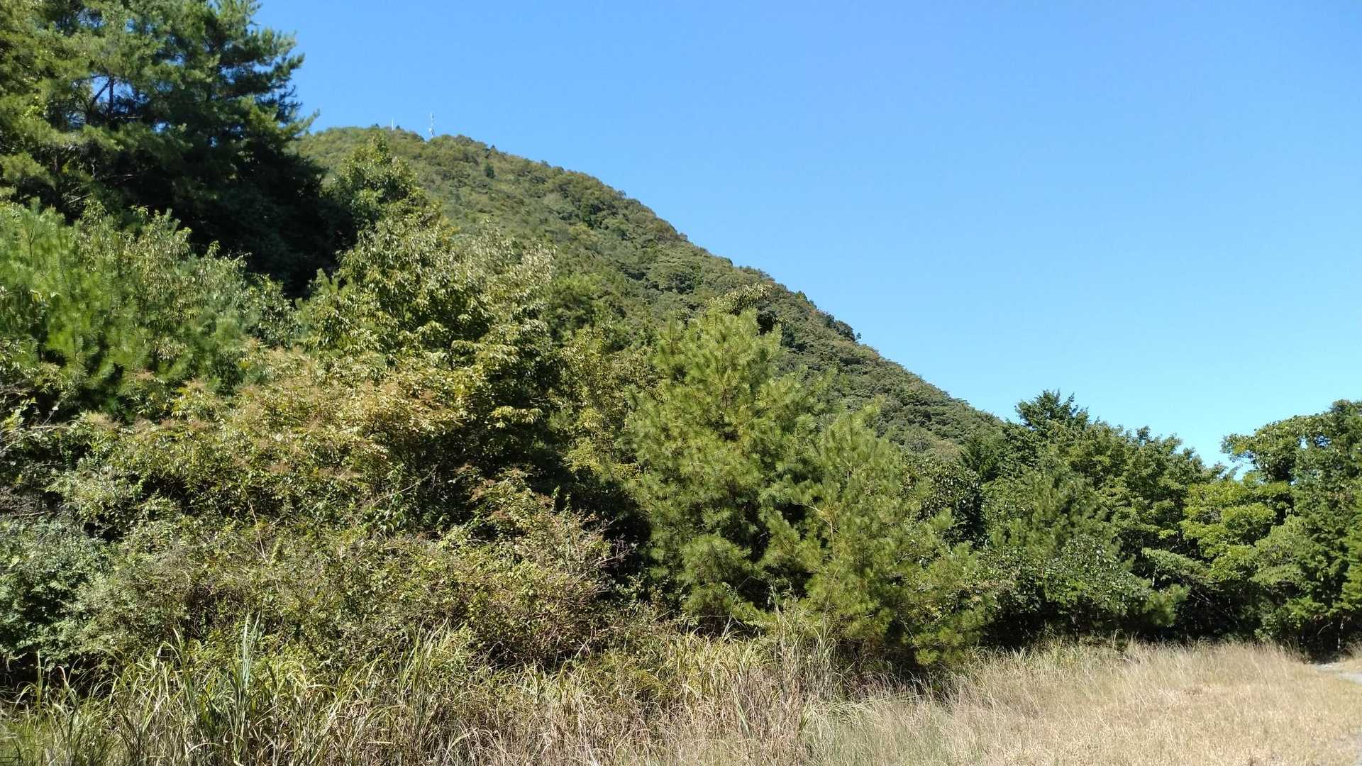 山頂に電波塔の木の子岳