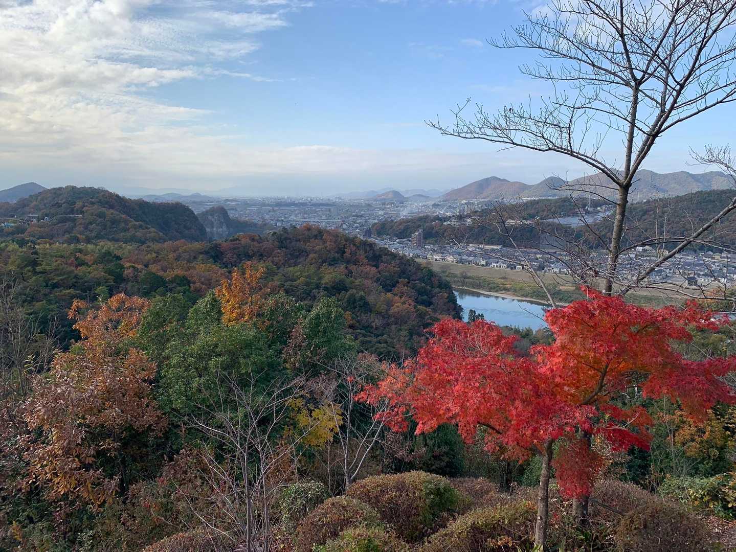 善光寺山の写真