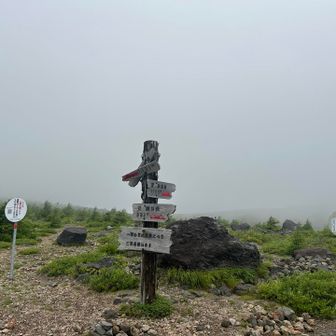 ガッスガス☁️
こんな感じの日だと想定内✌️