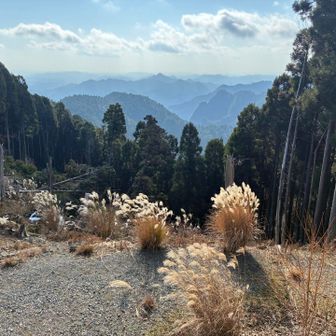 ここは見晴らしが良く、日差しもあり暖かかった。