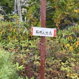 そうこうしているうちに北岳登頂！