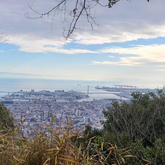 いい景色(´∀`)