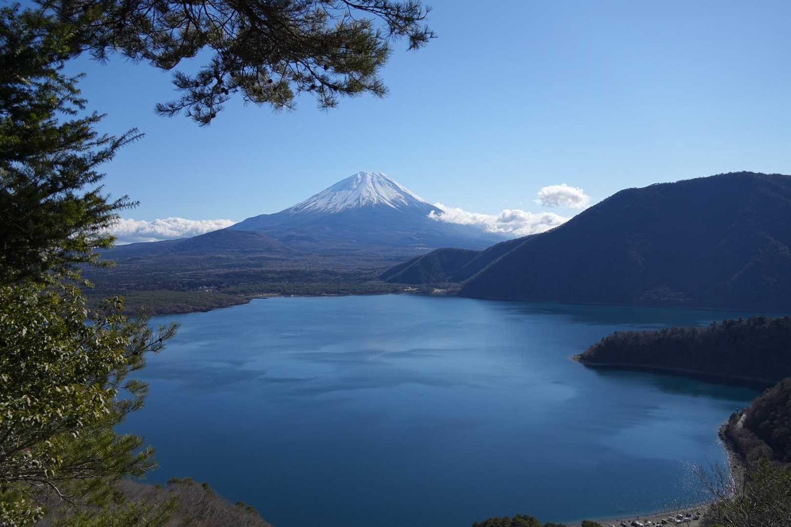 中ノ倉峠登山口-中ノ倉峠-パノラマ台 往復コースの写真