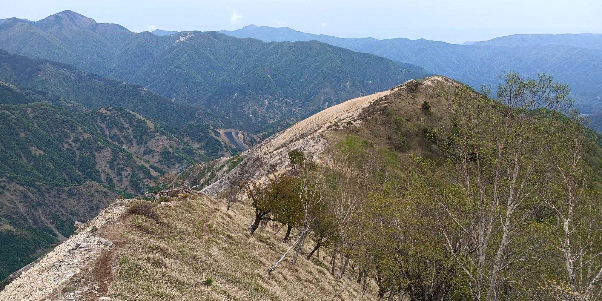 帰りもこの景色が見れるのはいい。