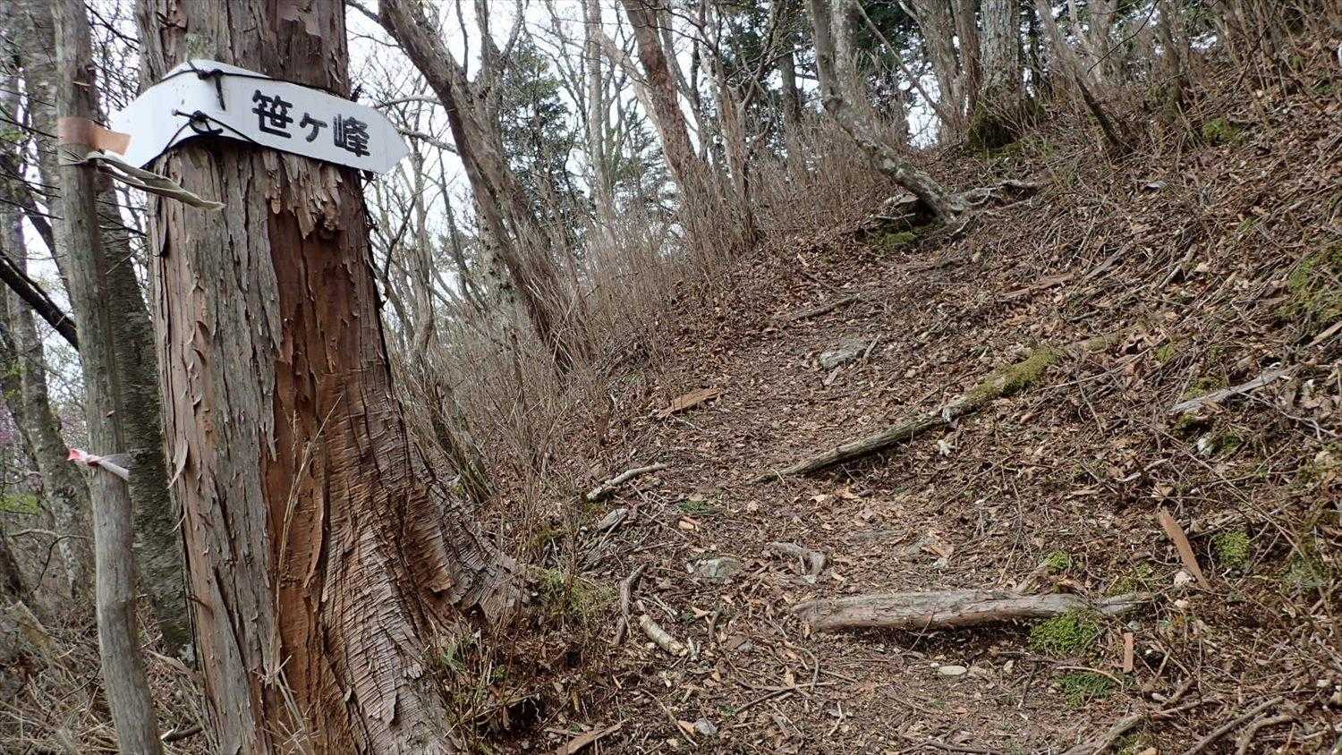 笹ヶ峰方面へ