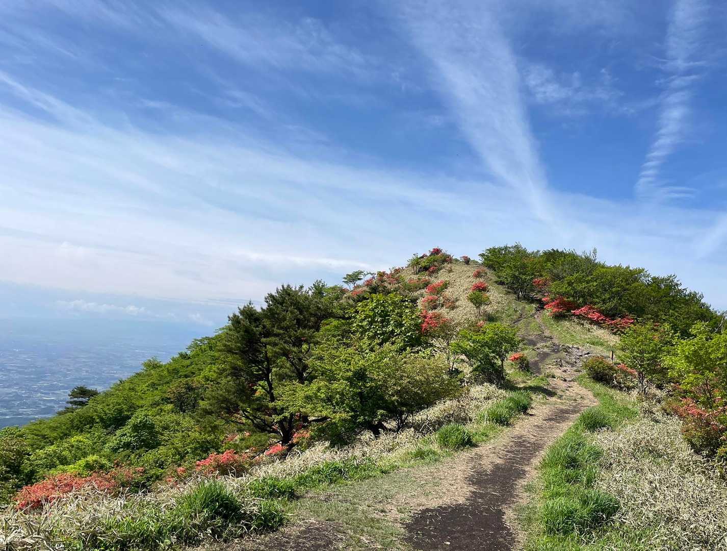 いい稜線です、ツツジのポイントもいい👍