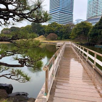 癒されるわぁ♡