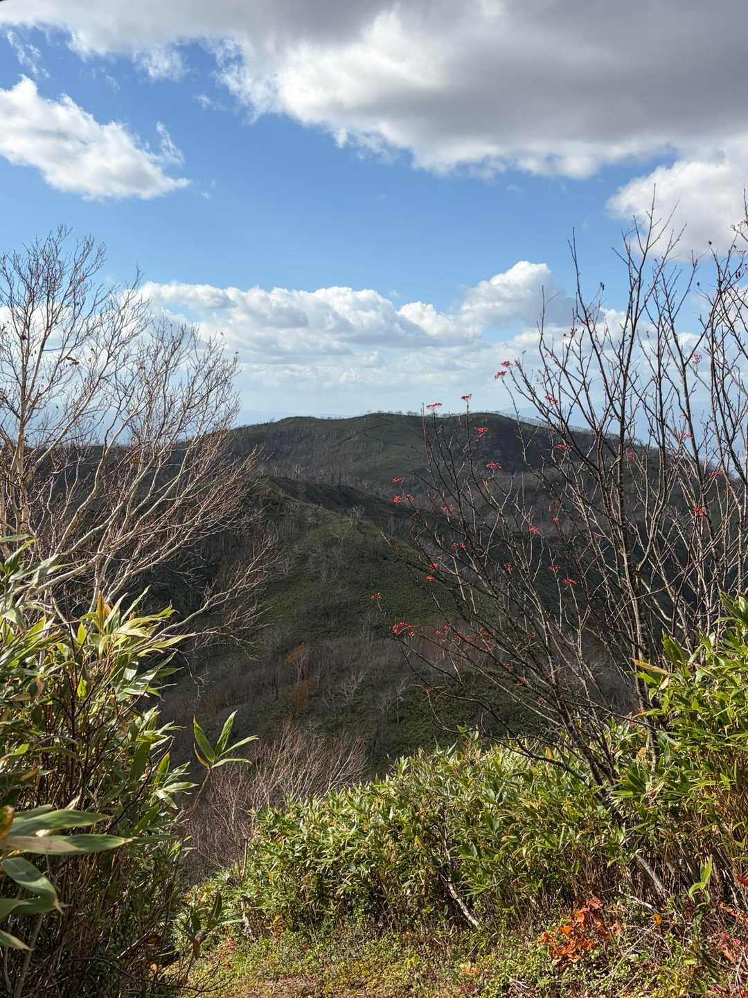 無名山から、音江山を振り返って。

雨が降らずに良かった。
この日はこのあと、真っ暗になったので、
なかなかタイミングが良かった。

これで、今日の夕方の散歩はしなくて
いい。
なんせ、散歩をせがむので....
しかも長いので....なかなか時間を作るのが
大変です💦

ま、犬を飼うとそぅいぅものだし、
それを楽しみにしてる人も
いるので、私も早く楽しみにしたい。
↑
山を歩くのは楽しいけど
下界の散歩は、楽しめない😅