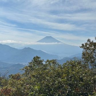 富士山もバッチリ