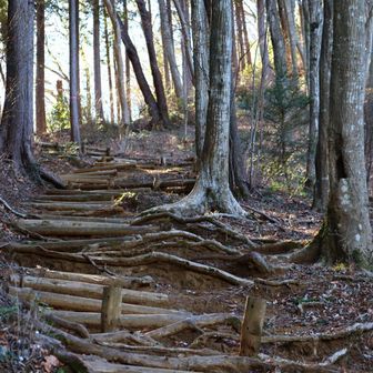ぐんぐん登ります。