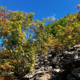 秋だねぇ〜🍁🍂