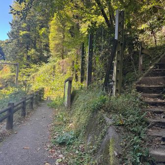大垂水峠に下りた