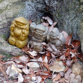 太平山③
綺麗に並んでる