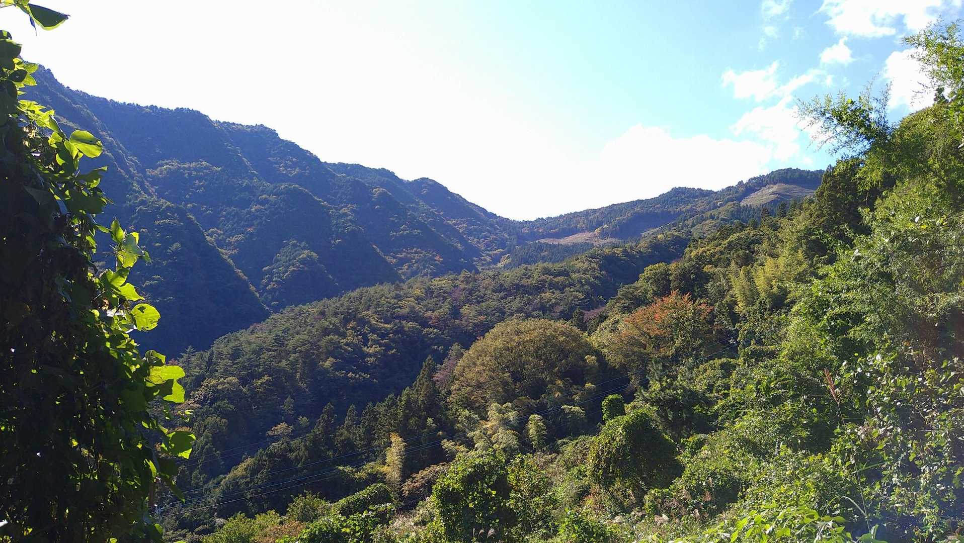 1059mとそんなに高くないけど、振り返って、こう見ると結構高く感じるんだね😁