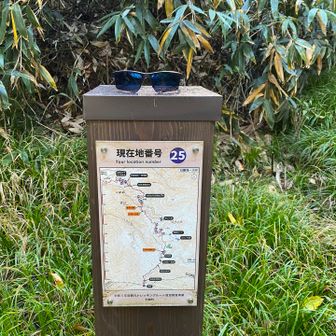 サングラスが落ちていたので、すぐ近くのこの25番の上に乗せておきました。帰りに気付いてくれれば良いのだけれど…。