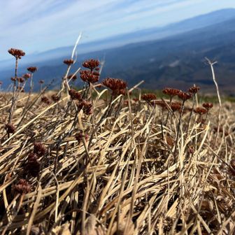 鳥海山は間も無く秋が終わり冬景色になりそう
