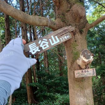 長谷山、ようやく来れました。
これで久々に三重100山のひとつ、取れました😆
…と思ってたら…三重100山じゃなかった💦