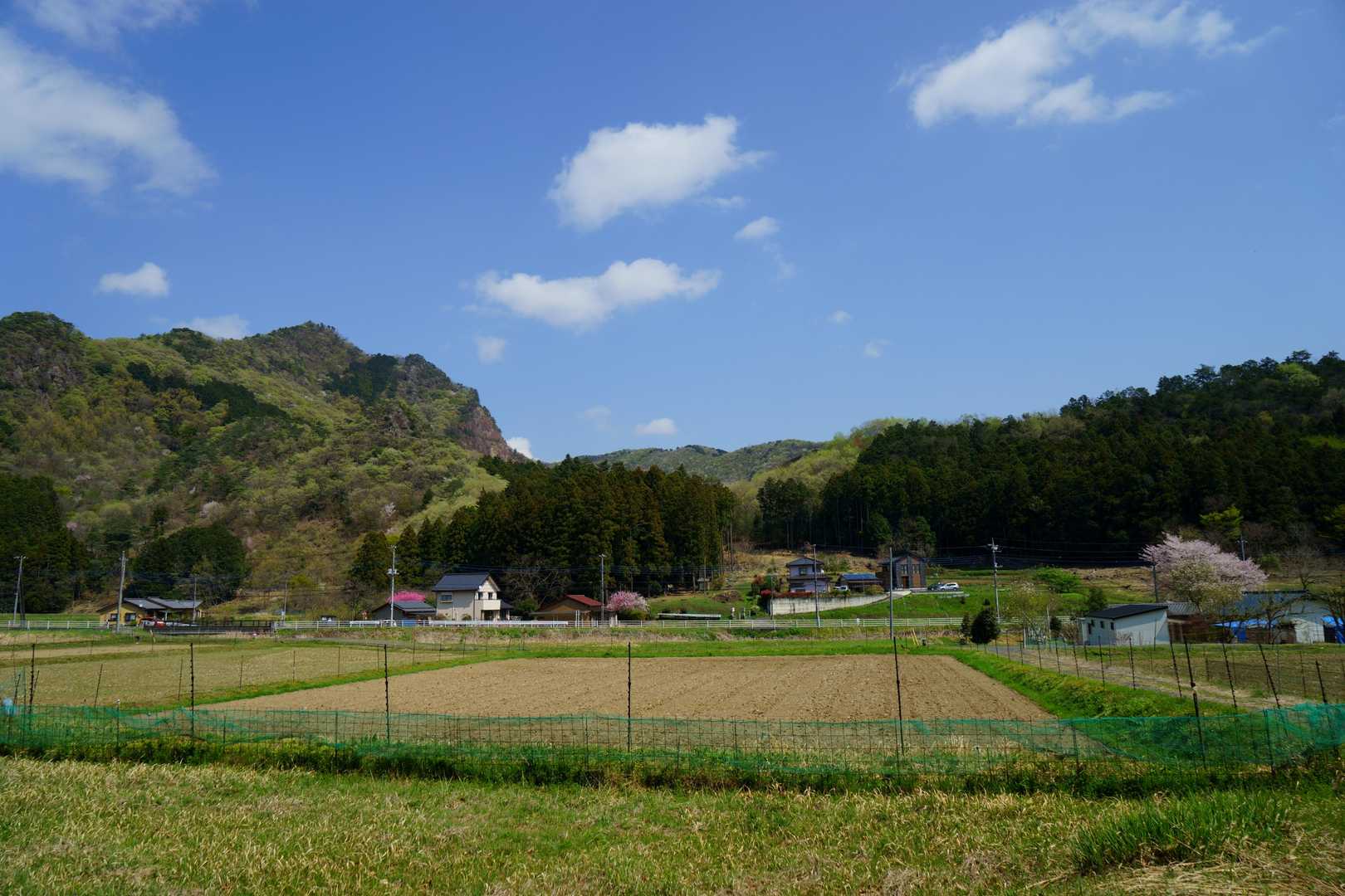 下山。
正面左手に、石尊山方向が見えてます