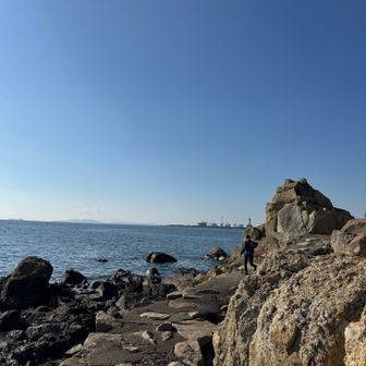 登山者、海を行く。