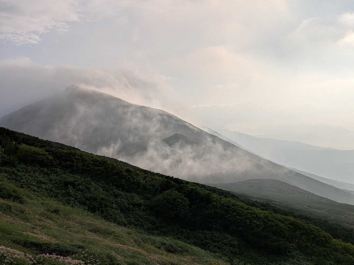 朝霧