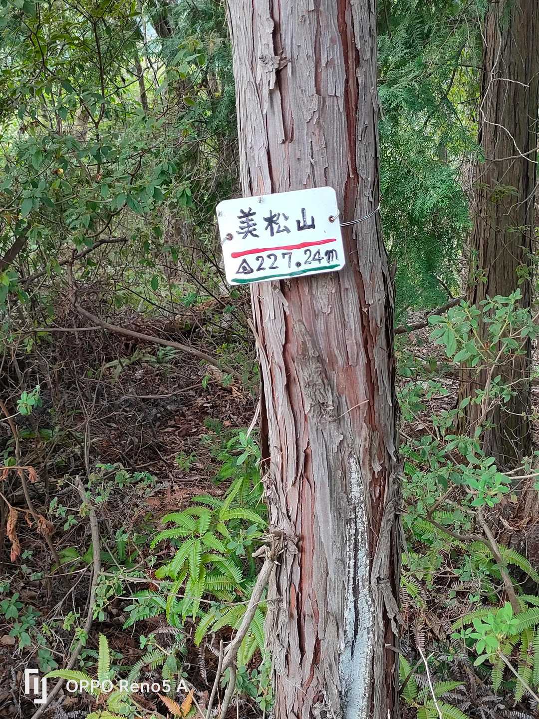 山頂の印だけ