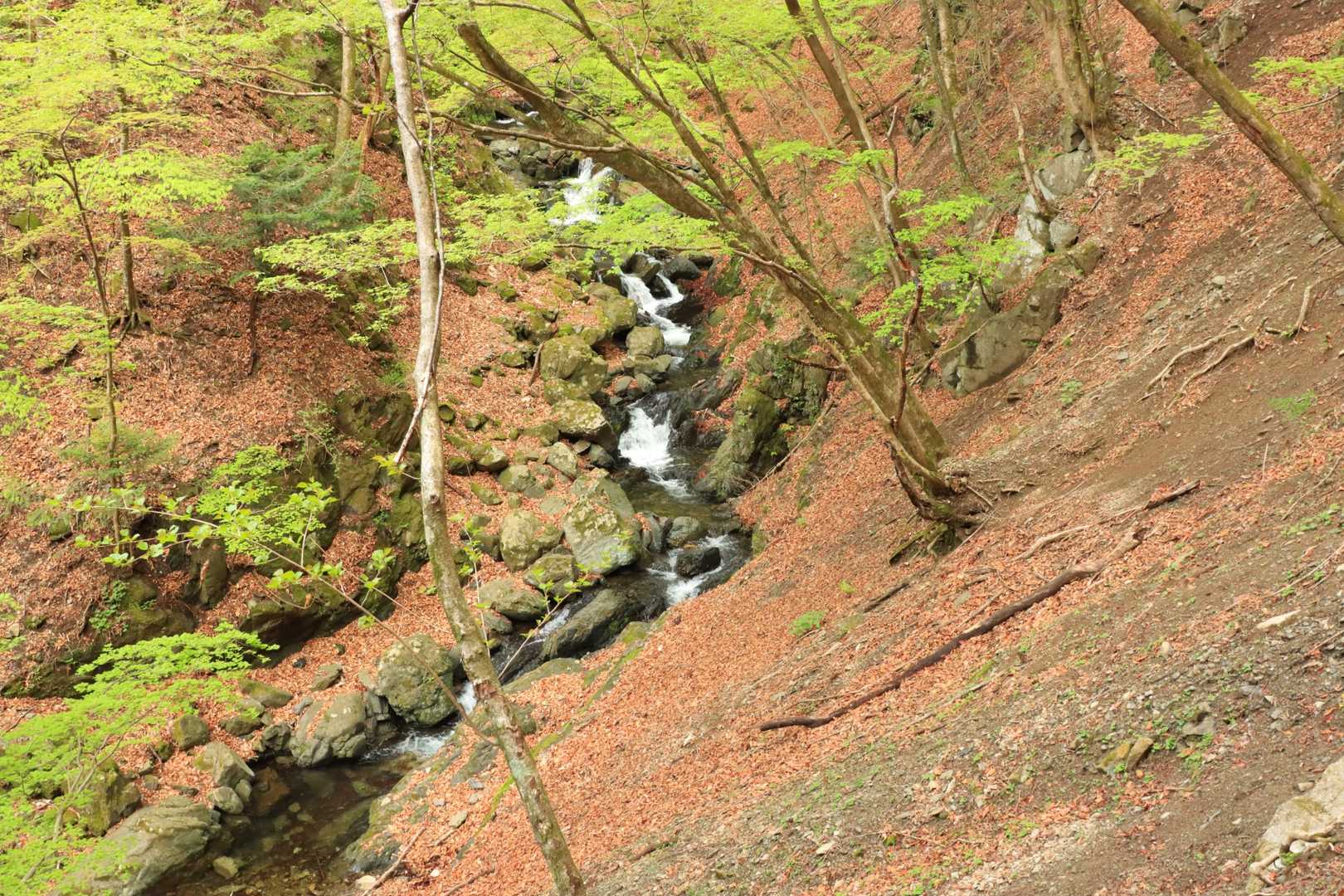 美しい渓谷でした。
沢登りでも有名だそうですね。