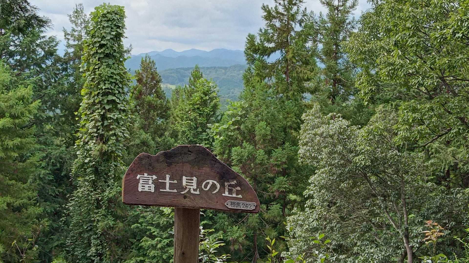 〈富士見の丘〉
雲多く富士山🗻見えず🥺