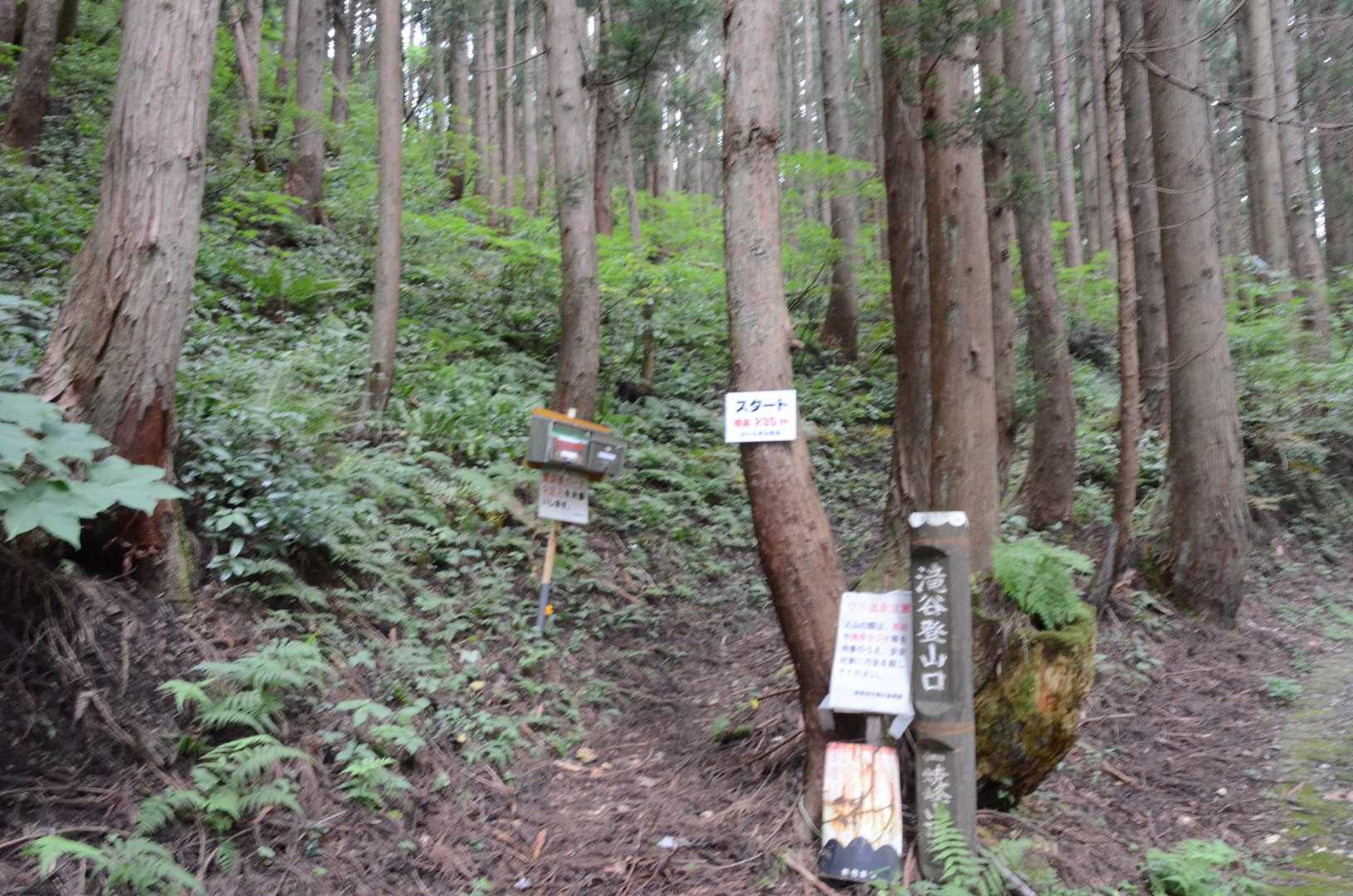 焼峰山（滝谷登山口）の写真