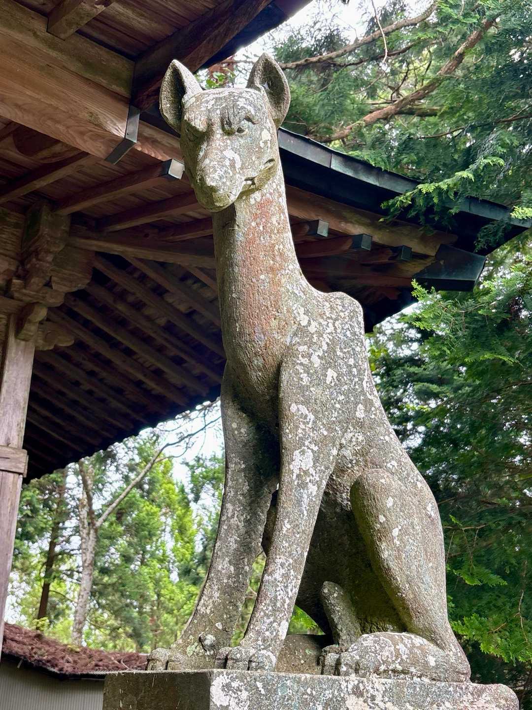 めっちゃイケメン❤️